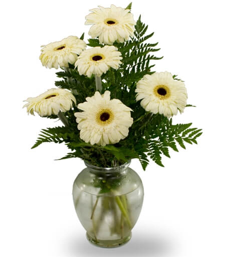 Gerbera vase