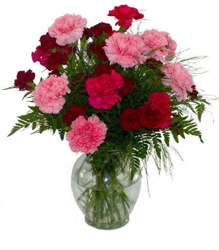 Carnation vase