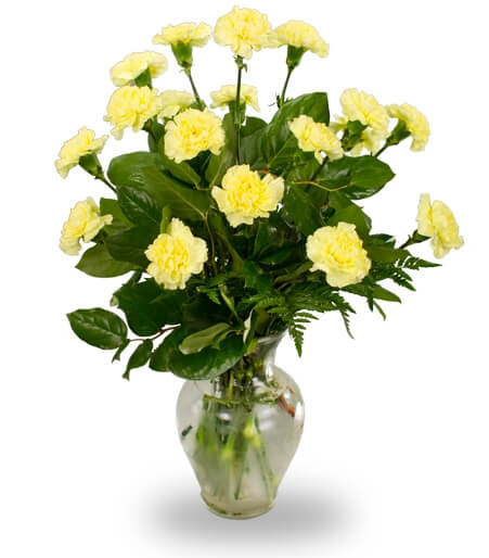 Eighteen carnations in a clear vase