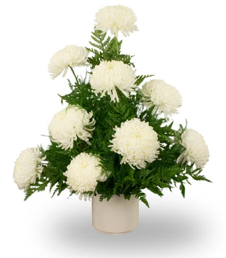 Chrysanthemum Arrangement