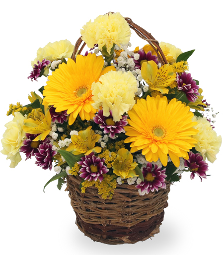 The Happy Yellow Basket