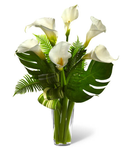 Always Adored Calla Lily Arrangement