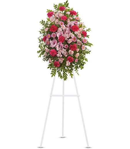 Buy the Pink Tribute Spray arrangement