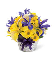 Spirit of Spring