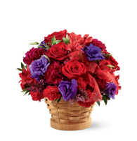 The Basket of Dreams