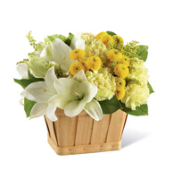 The Uplifting Moments Basket
