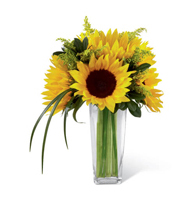Sunshine Daydream Bouquet