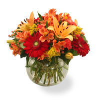 Orange Splash Bouquet
