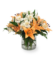 Lively Flower Arrangement