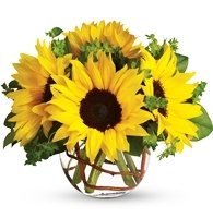 Sunny Sunflowers